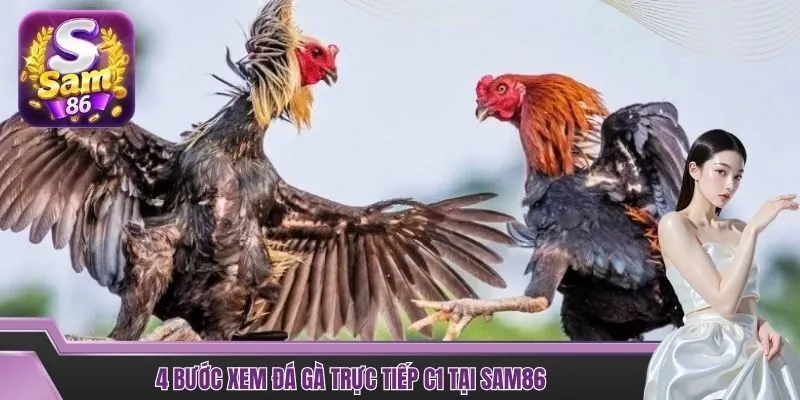 4 bước xem đá gà trực tiếp C1 tại SAM86