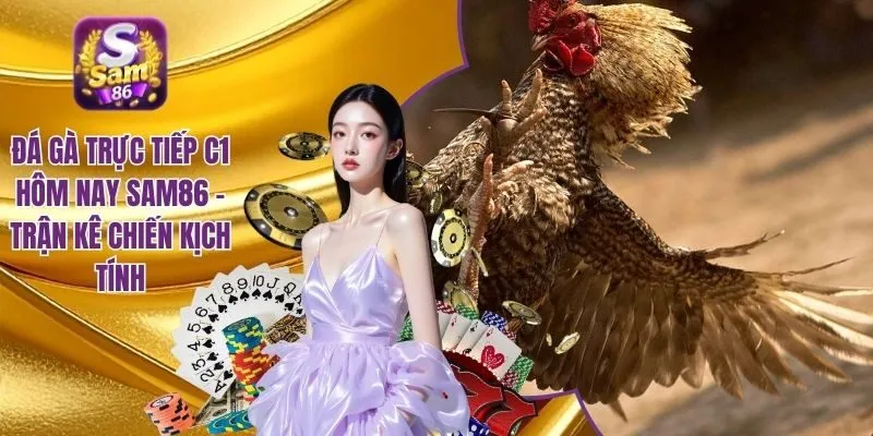 Đá gà trực tiếp C1 hôm nay SAM86