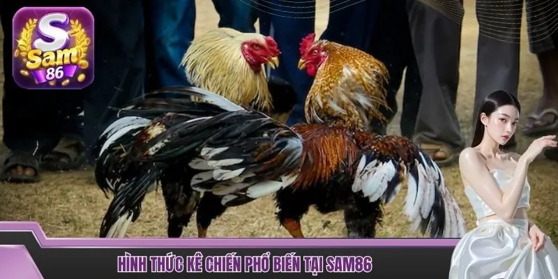 Hình thức kê chiến phổ biến tại SAM86