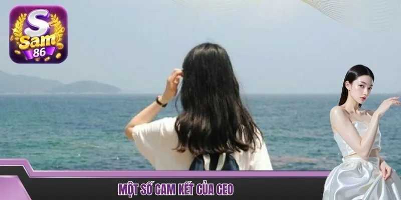 Một số cam kết của CEO