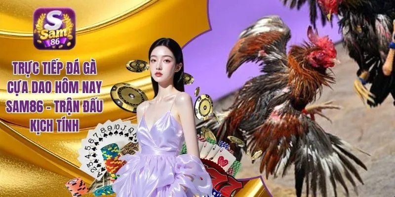 Trực tiếp đá gà cựa dao hôm nay SAM86